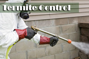 Termite Control